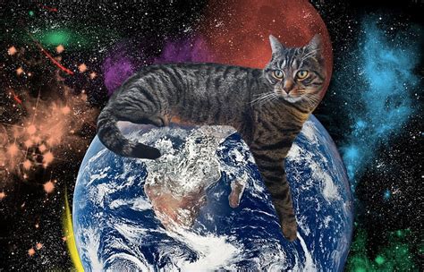 サムワーシントン: なぜ猫は宇宙を支配するのか？